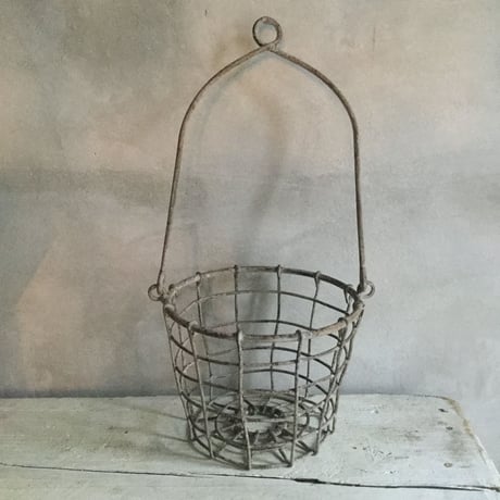 Rhipsalis Cassutha with basket (リプサリス・カスッサ  ＊ハンギングバスケット付）