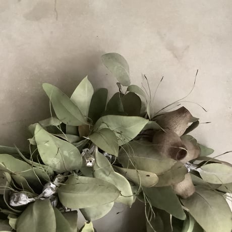 3mixed eucalyptus wreath (3種のユーカリミックスリース)