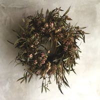 Dried Nigella & Eucalyptus Albida Wreath (ニゲラとユーカリ アルビダのドライリース)