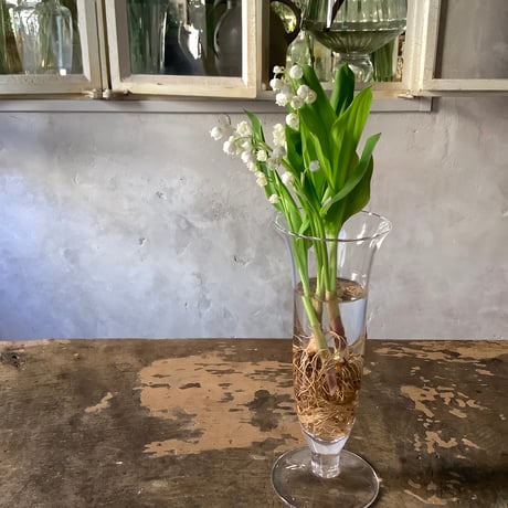 "Clear Voltage" Flower vase Made in Japan (クリアガラス フラワーベース"クリアボルテージ”日本製)