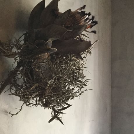 Tree Bush & Protea Niobe Wreath (ツリーブッシュとプロテア・ニオべのリース)
