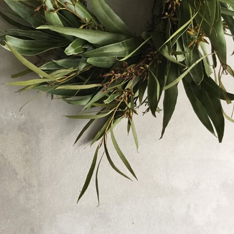 Dried Eucalyptus Green Wreath (ユーカリのグリーンリース)