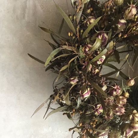 Dried Nigella & Eucalyptus Albida Wreath (ニゲラとユーカリ アルビダのドライリース)