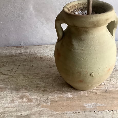 Ficus elastica ruby with Tunisia pot (チュニジアポット付きフィカスルビー )