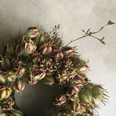 Dried Nigella & Eucalyptus Wreath (ニゲラとユーカリの実のドライリース)