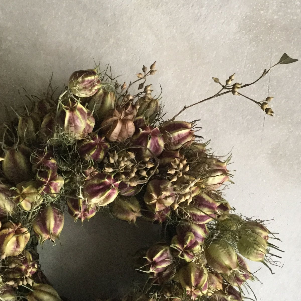Dried Nigella & Eucalyptus Wreath (ニゲラとユーカリの実のド