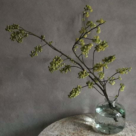 Classical Glass Bottle Flower Vase (クラシカル  ガラスボトル フラワーベース)1.5L