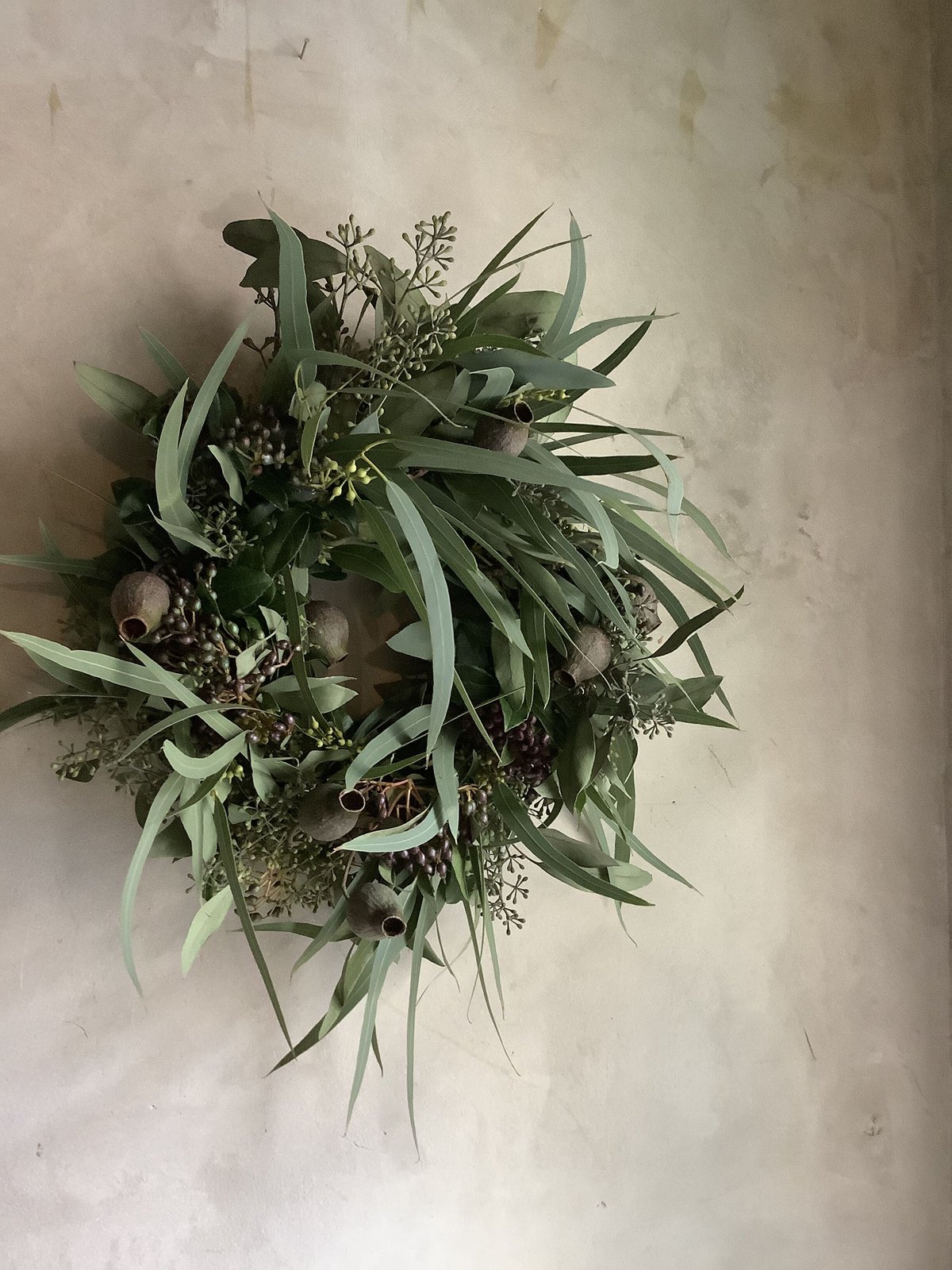 【リーフリース】ユーカリポポラス　leaf wreath２点セット リーフリース】ユーカリポポラス leaf wreath2点セット
