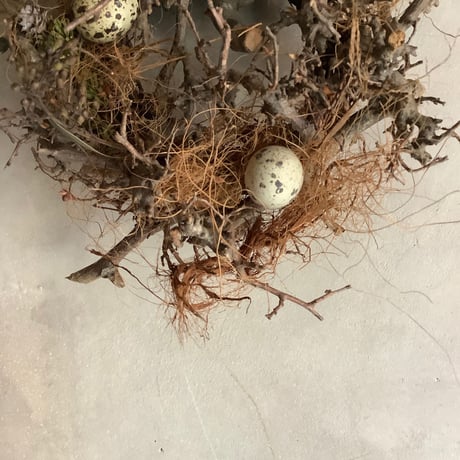 Birds nest wreath "Wagtail" (バーズネストリース・ワグテール)