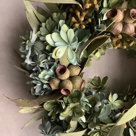 Dried antique hydrangea & eucalyptus ambernuts wreath (アンティーク紫陽花とユーカリアンバーナッツのドライリース)