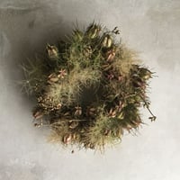 Dried Nigella & Smoke Tree Wreath (ニゲラとスモークツリーのリース)