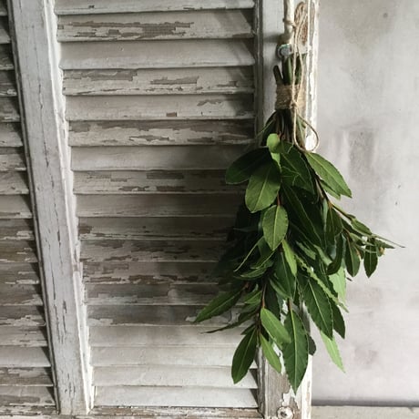Bay Leaf Wreath & Swag (月桂樹のリース＆スワッグ)