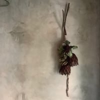 Protea Venus & Eucalyptus Swag(プロテアヴィーナスとユーカリのスワッグ)