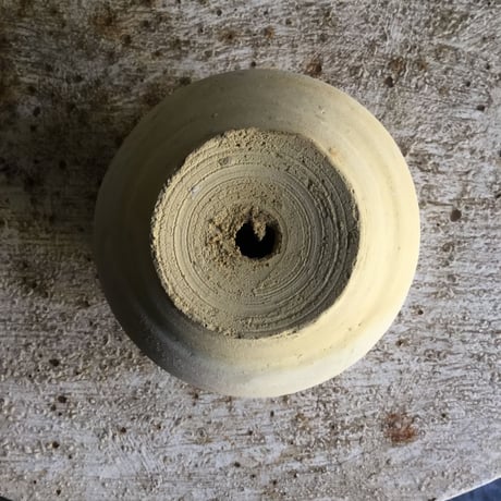 Dinema polybulbon with Tunisia pot(チュニジアポット付きディネマポリブルボン)