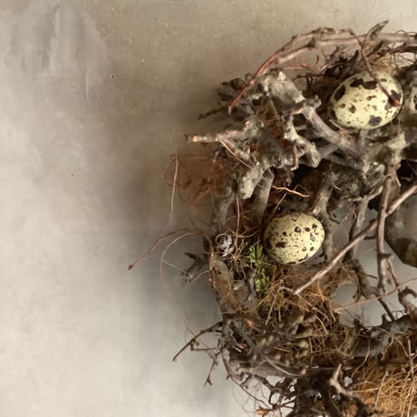 Birds nest wreath "Wagtail" (バーズネストリース・ワグテール)