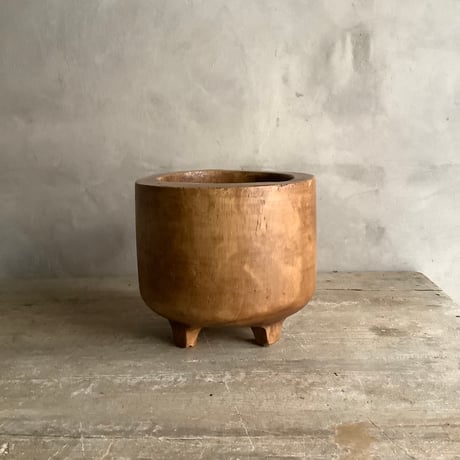2025 Philodendron Billetae with Acacia wood Planter cover  (フィロデンドロン ビレッタエ/アカシア木製 鉢カバー付き)