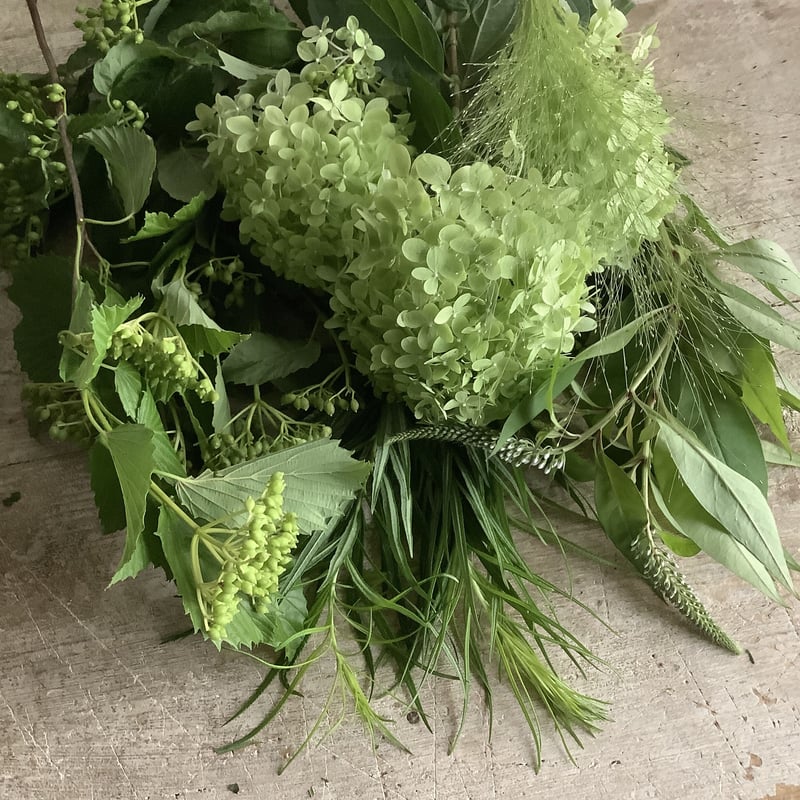 季節のお花・ブロッサムズセレクト 季節のお花・ブロッサムズセレクト