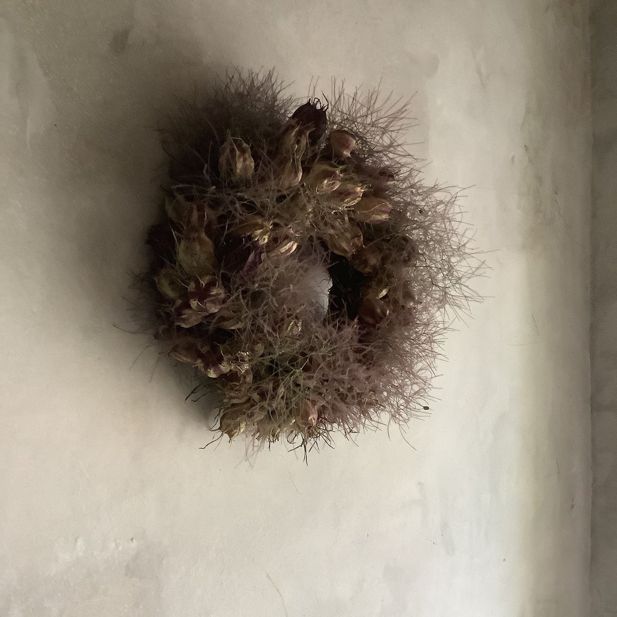 Dried Nigella & Smoke Tree Wreath (ニゲラとスモークツリーの
