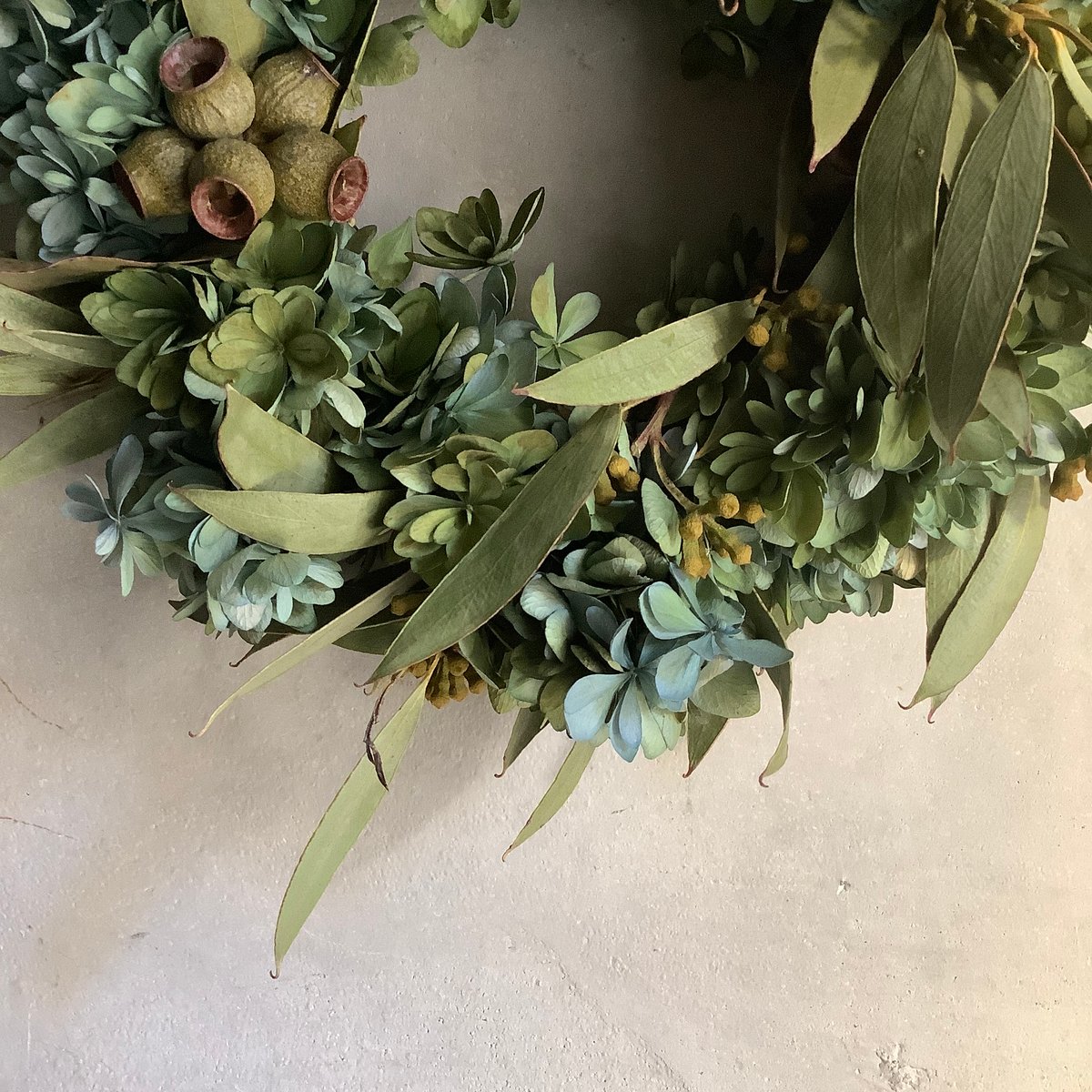 Dried antique hydrangea & eucalyptus ambernuts
