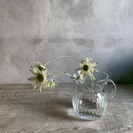 Couler ligne herb water carafe (クーレライン・ハーブウォーターカラフェ)