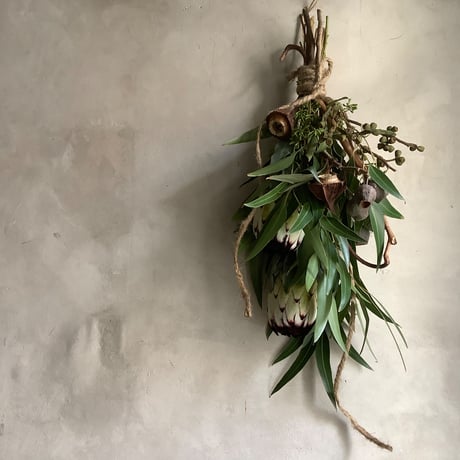 Protea Niobe  & Eucalyptus Swag (プロテア・ニオべとユーカリのスワッグ)