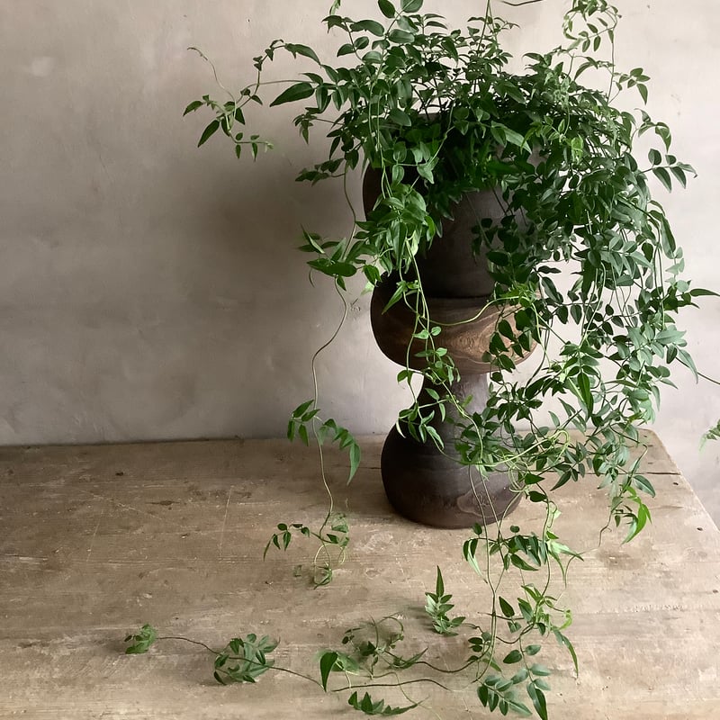 Wood Stool ウッドスツール | blossom online shop