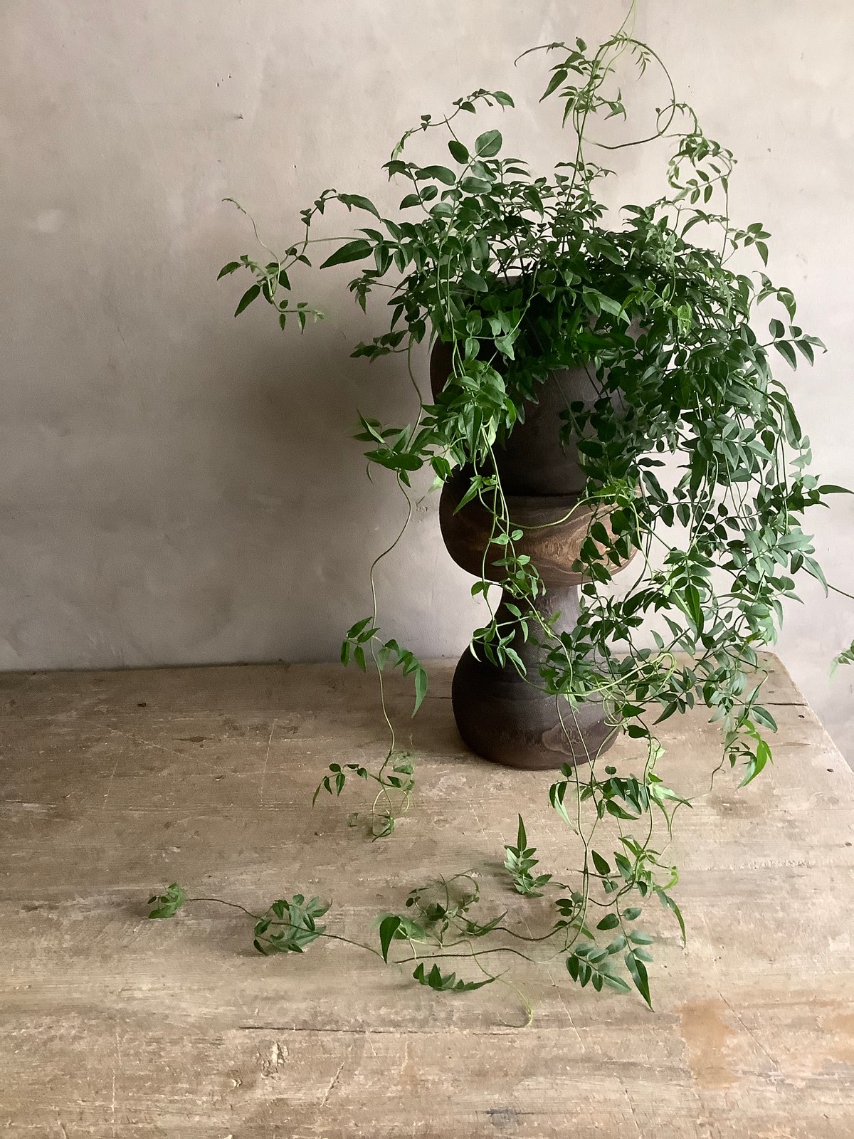 Wood Stool ウッドスツール | blossom online shop