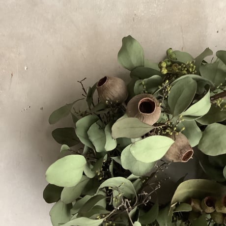 Mixed dry eucalyptus wreath"Douglas" (ユーカリミックスリース "ダグラス")