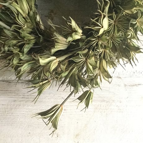 Dried Nigella Flower Wreath (ニゲラの実のドライリース)