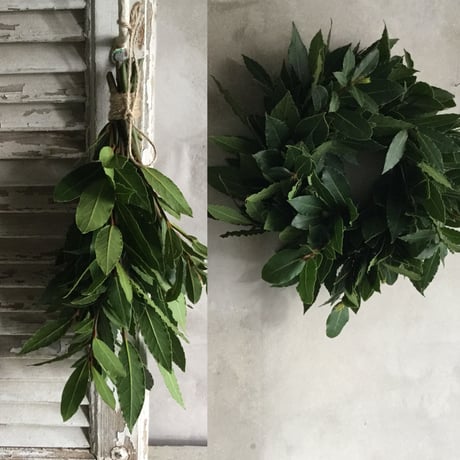 Bay Leaf Wreath & Swag (月桂樹のリース＆スワッグ)