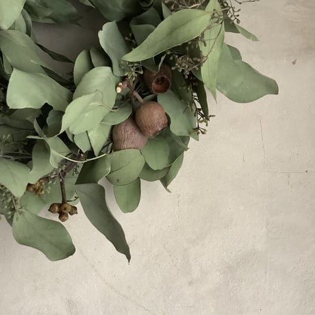Mixed dry eucalyptus wreath"Donald" (ユーカリミックスリース "ドナルド")