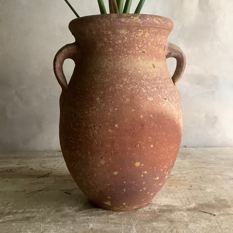 Philodendron Goeldii with Tunisia pot (フィロデンドロン・ゴエルディ/チュニジアポット付き)