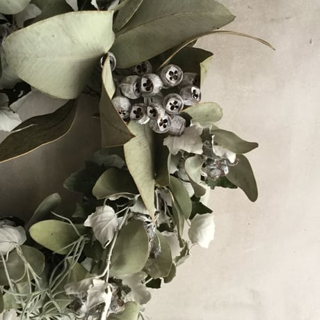 Silverleaf Wreath (ギンドロのシルバーリース)