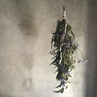 Blue Garland Swag 360 ( ブルーガーランドスワッグ360° )