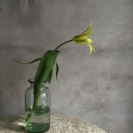 Classical Glass Bottle Flower Vase (クラシカル ガラスボトル フラワーベース)0.75L