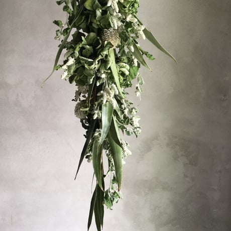 Dried Silver Cats Garland Swag (シルバーキャットのガーランドスワッグ）