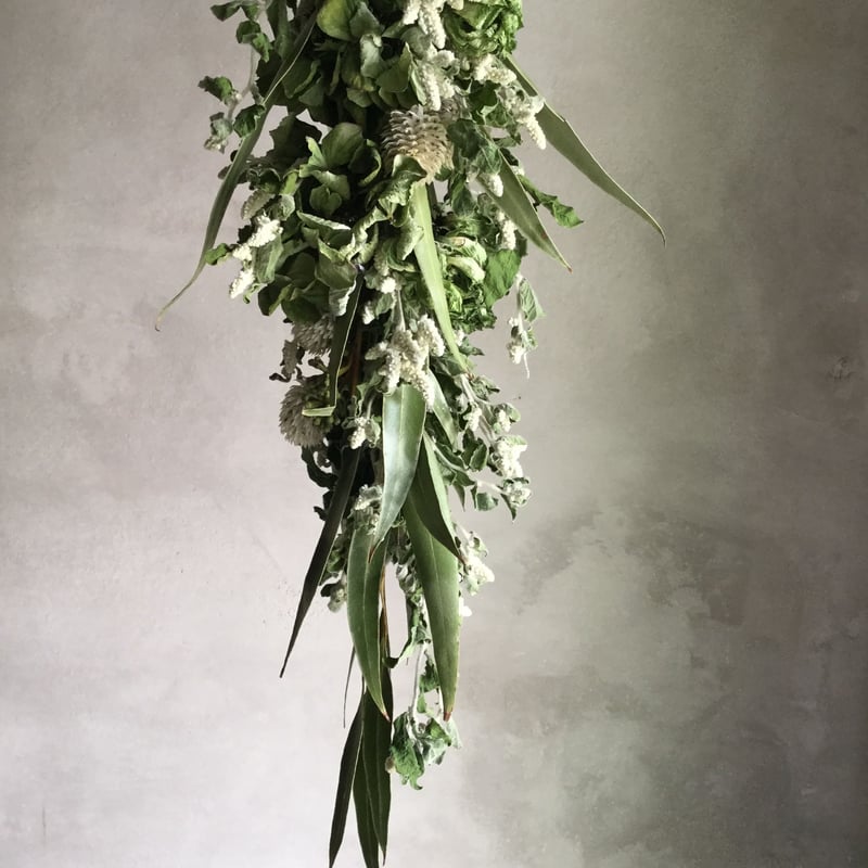 Dried Silver Cats Garland Swag (シルバーキャットのガーランドス