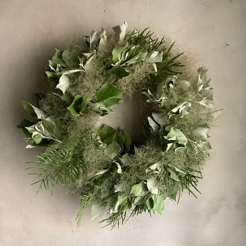 Dried Silver Leaves & Smoke Tree Wreath (シルバーリー Dried Silver Leaves & Smoke Tree Wreath (シルバーリー