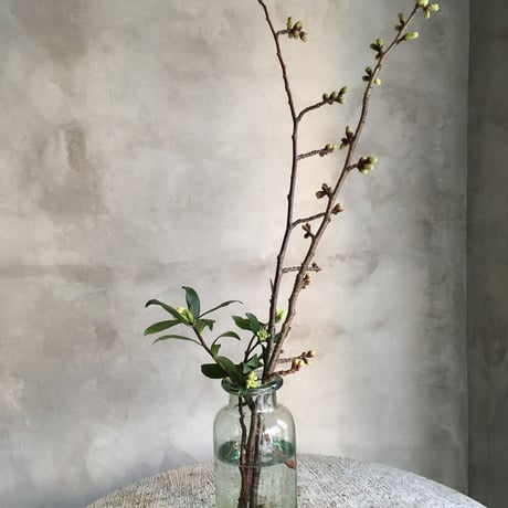 Classical Glass Bottle Flower Vase (クラシカル ガラスボトル フラワーベース)0.75L