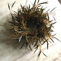 Eucalyptus Albida Wreath (ユーカリ アルビダのリース)