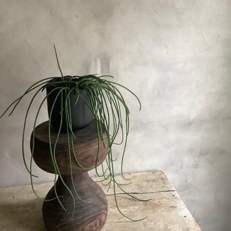 Wood Stool  ウッドスツール