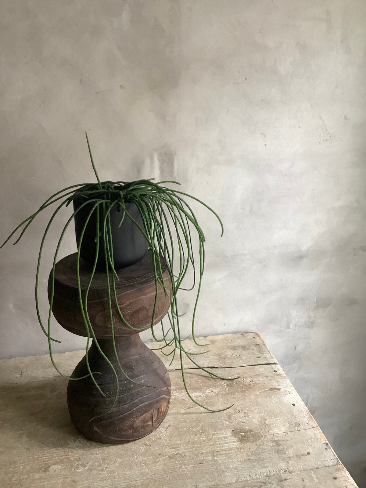Wood Stool ウッドスツール | blossom online shop