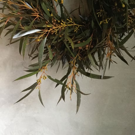 Eucalyptus Albida Wreath (ユーカリ アルビダのリース)