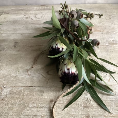 Protea Niobe  & Eucalyptus Swag (プロテア・ニオべとユーカリのスワッグ)