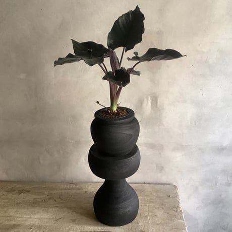 Black Wood Stool "Back in Black" Ver.(ウッドスツール・ブラックバージョン )