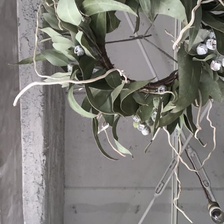 Hanging Dried 3Mixed Eucalyptus Wreath (ユーカリ3種のハンギングリース)