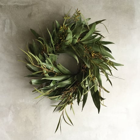 Dried Eucalyptus Green Wreath (ユーカリのグリーンリース)