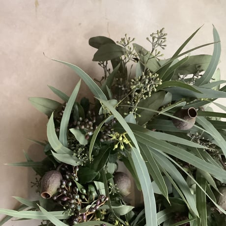 Thin leaf eucalyptus wreath"" (細葉ユーカリのミックスリース )