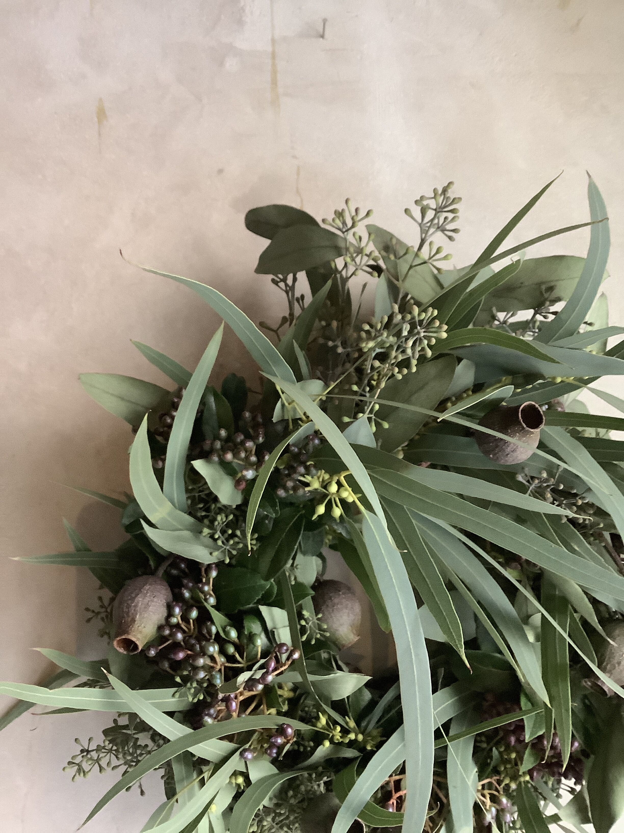Thin leaf eucalyptus wreath