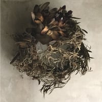 Tree Bush & Protea Niobe Wreath (ツリーブッシュとプロテア・ニオべのリース)